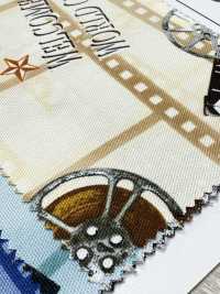 AP55201 Cinefabric Oxford (Cuộn Tròn)[Vải] COSMO TEXTILE Ảnh phụ