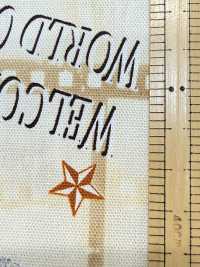 AP55201 Cinefabric Oxford (Cuộn Tròn)[Vải] COSMO TEXTILE Ảnh phụ