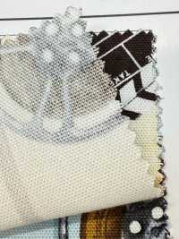 AP55201-DR Cinefabric Oxford (Gấp đôi)[Vải] COSMO TEXTILE Ảnh phụ