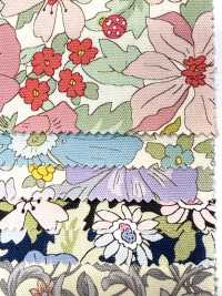 AP55808-DR Essential Grace 2 Vải Oxford(Gấp đôi) COSMO TEXTILE Ảnh phụ