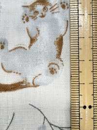 AP55205-DR Vải Gạc đôi Pastel Animal (Gấp đôi) COSMO TEXTILE Ảnh phụ