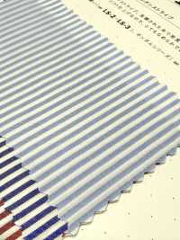 LS-1 Kẻ Sọc London 60/1[Vải] Kuwamura Ảnh phụ