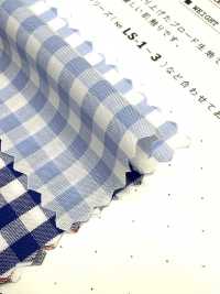 GM-2 60/1 Kẻ Caro Gingham[Vải] Kuwamura Ảnh phụ