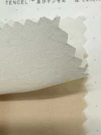 1830 Vải Broadcloth Sợi Modal Poly-Tencel™ Kuwamura Ảnh phụ