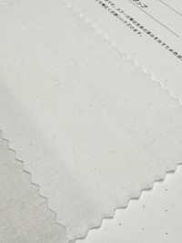 2030 Xe Ben Sợi Gai 40/1[Vải] Kuwamura Ảnh phụ