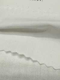 2030 Xe Ben Sợi Gai 40/1[Vải] Kuwamura Ảnh phụ