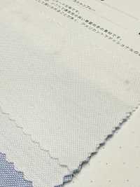 2050 Vải Oxford Vải Chambray Kuwamura Ảnh phụ