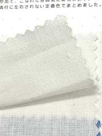 1200 Vải Thô Dungaree 20/1 Kuwamura Ảnh phụ