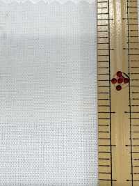 1200 Vải Thô Dungaree 20/1 Kuwamura Ảnh phụ