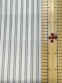 SBT-015 Kẻ Sọc ECO[Vải] Kuwamura Ảnh phụ