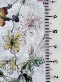 DP-5000-1 60 Vải Cotton Lawn In Kỹ Thuật Số Bãi Cỏ Thực Vật Hokkoh Ảnh phụ