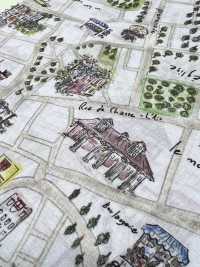 DP-5000-5 60 Mẫu Bản đồ In Kỹ Thuật Số Vải Cotton Lawn Hokkoh Ảnh phụ