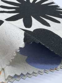 7026-720-1 CL Vải Broadcloth Angel Soft Daihana Hokkoh Ảnh phụ