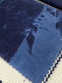 DCL4400-ID 21W Mijinkoruten Decolore[Vải] Kumoi Beauty Ảnh phụ