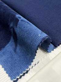 DCL4400-ID 21W Mijinkoruten Decolore[Vải] Kumoi Beauty Ảnh phụ