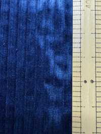 DCL6500-ID Trang Corduroy 6W[Vải] Kumoi Beauty Ảnh phụ