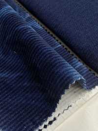 DCL2150-ID Trang Corduroy 14W[Vải] Kumoi Beauty Ảnh phụ