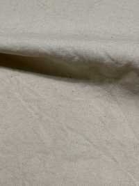 OJE253383 Vải Cotton Vải Broadcloth đã Giặt Oharayaseni Ảnh phụ