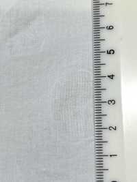 28119 80 Chỉ Vải Cotton Lawn Bi In Họa Tiết Co Rút Muối Bãi Cỏ SUNWELL Ảnh phụ