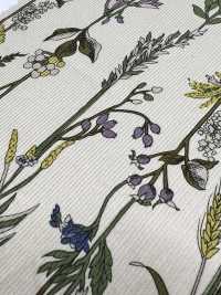 3026-1770-1 Corduroy Kẻ 21W[Vải] Hokkoh Ảnh phụ