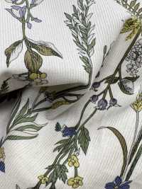 3026-1770-1 Corduroy Kẻ 21W[Vải] Hokkoh Ảnh phụ