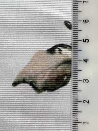 KDP8712-58-DD-563 In Phun Khổ Rộng , Chất Liệu Ruy Băng Gân Sần Mờ.[Vải] Uni Textile Ảnh phụ