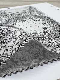 7026-1600-6 80/240 Ren / Đăng Ten[Vải] Hokkoh Ảnh phụ