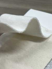 W-48377 Vải Thun Nỉ Champion Cổ điển II Minami Ảnh phụ