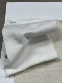 W-48377 Vải Thun Nỉ Champion Cổ điển II Minami Ảnh phụ