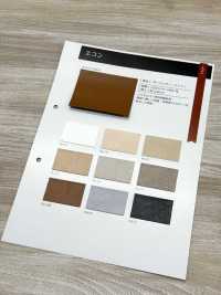 GINGA-070 Kinh Tế[Vải] GINGA Ảnh phụ