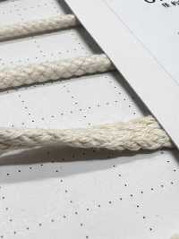 C5 Dây Chất Liệu Tự Nhiên PHẦN 1 Cotton 5 Dây Túi 8.0mm[Ruy Băng, Băng, Dây] Cordon Ảnh phụ