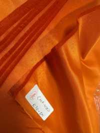 MA01W Thạc Sĩ (M.A.) Hệ Kép[Vải] Masuda Ảnh phụ