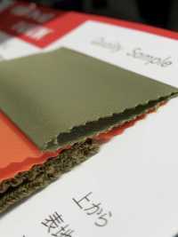 MA01W Thạc Sĩ (M.A.) Hệ Kép[Vải] Masuda Ảnh phụ