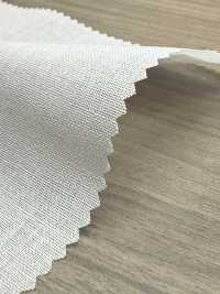 PH5500N PH5500N[Xen Kẽ] Không thương hiệu Ảnh phụ