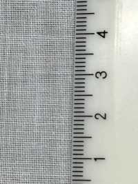 PH5500N PH5500N[Xen Kẽ] Không thương hiệu Ảnh phụ