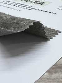 HK7071BW Vải Vải Oxford Cotton Gai Dầu Musashino Sumizome, Nhuộm đen, OW KOYAMA Ảnh phụ