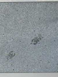 M-8912-PKK M-8912 Scotchlite Viền Răng Dây Viền ống[Ruy Băng, Băng, Dây] STAR BRAND (Hoshika) Ảnh phụ