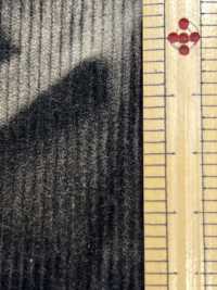 DCL115-SF 14W T/C Corduroy Decorore[Vải] Kumoi Beauty Ảnh phụ