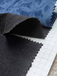 NKB445 21W Mijinkoruten[Vải] Kumoi Beauty Ảnh phụ