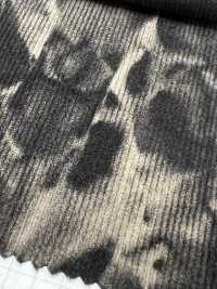 DCL445-SF 21W Mijinkoruten Decolore[Vải] Kumoi Beauty Ảnh phụ