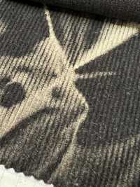 DCL755-SF Corduroy 16W Có Họa Tiết Trang Trí[Vải] Kumoi Beauty Ảnh phụ