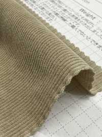 SBC4040 Máy Sấy áo 21W, Corduroy , Có Chức Năng Giặt.[Vải] SHIBAYA Ảnh phụ