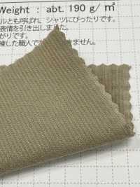 SBC4040 Máy Sấy áo 21W, Corduroy , Có Chức Năng Giặt.[Vải] SHIBAYA Ảnh phụ