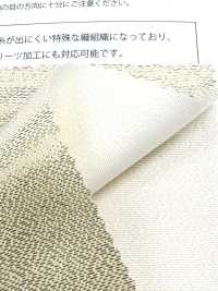 M600 Thập Tự Giá Què[Vải] Suncorona Oda Ảnh phụ