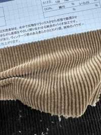 ND7035 Vải Corduroy 9W Cotton/Modal Nidom Xử Lý Sinh Học Kumoi Beauty Ảnh phụ