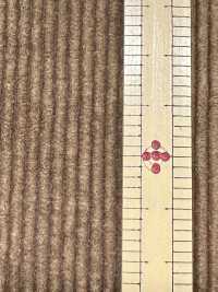 ND7035 Vải Corduroy 9W Cotton/Modal Nidom Xử Lý Sinh Học Kumoi Beauty Ảnh phụ