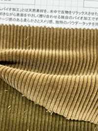 ND7025 Shankar 9W Organic Corduroy Bio-processed[Vải] Kumoi Beauty Ảnh phụ