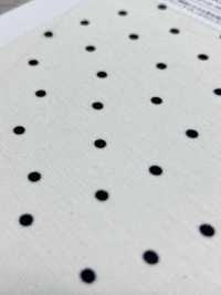 KKP8036-W-SB-321 BR×SD100d Vải Cotton Tenjiku Khổ Rộng Uni Textile Ảnh phụ