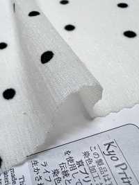 KKP8036-W-SB-321 BR×SD100d Vải Cotton Tenjiku Khổ Rộng Uni Textile Ảnh phụ