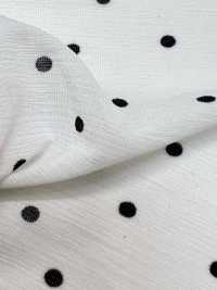 KKP8036-W-SB-321 BR×SD100d Vải Cotton Tenjiku Khổ Rộng Uni Textile Ảnh phụ